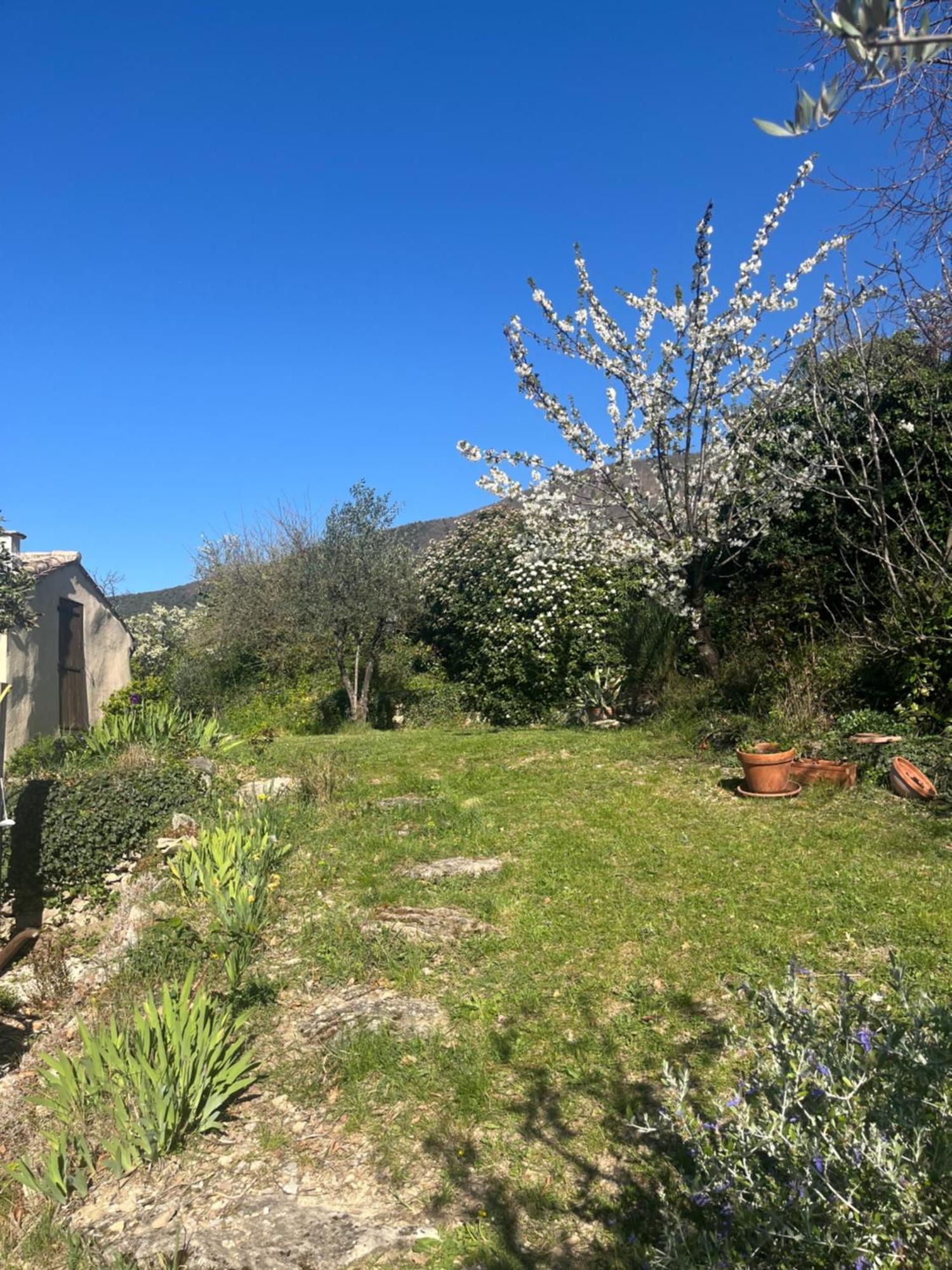 Cabanon Entoure De Montagnes Et D'Oliviers Villa Nyons Dış mekan fotoğraf