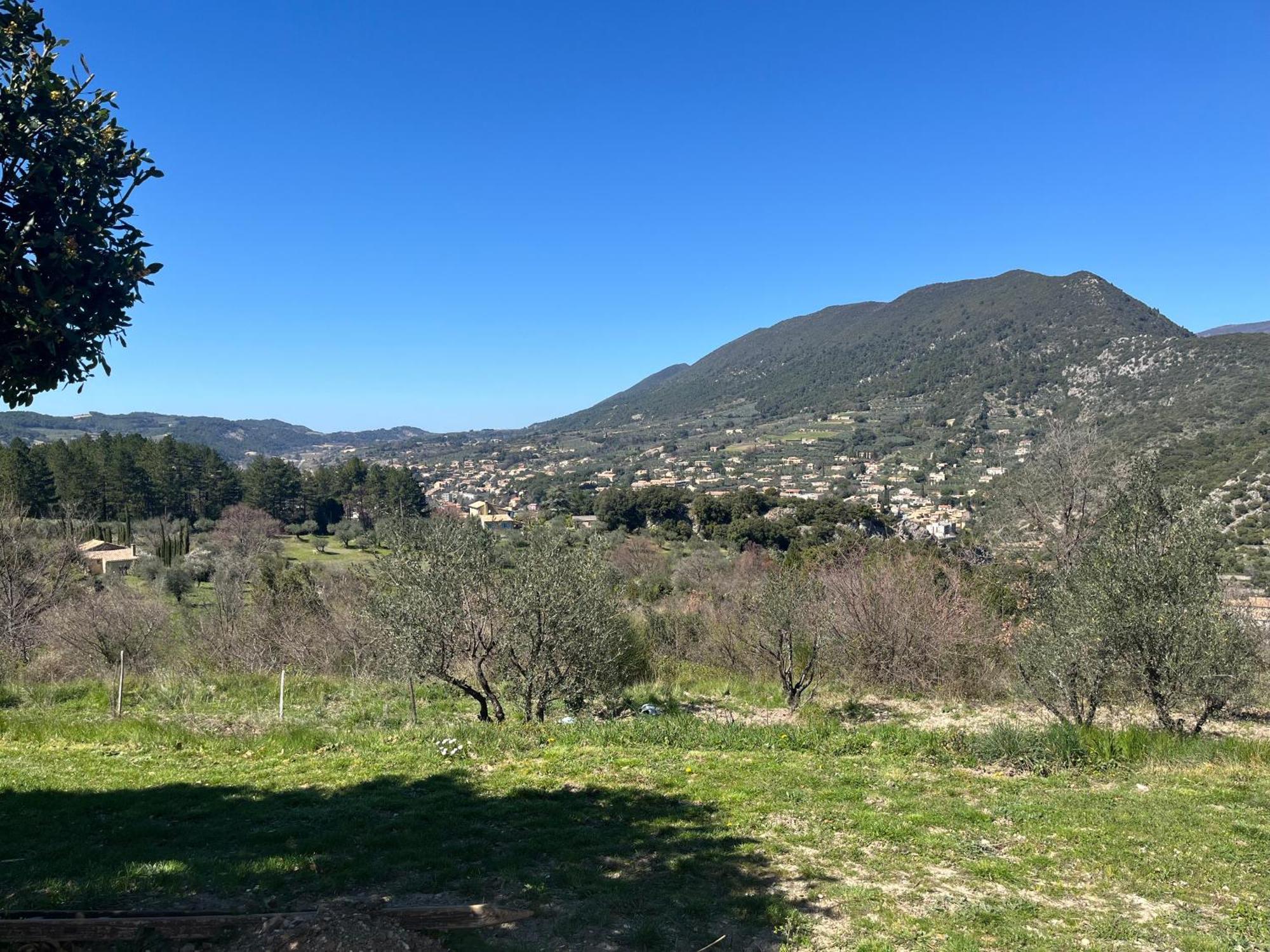 Cabanon Entoure De Montagnes Et D'Oliviers Villa Nyons Dış mekan fotoğraf